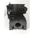 CATERPILLAR 3116 Cylinder Block thumbnail 2