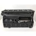 CATERPILLAR 3116 Cylinder Block thumbnail 4