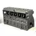 CATERPILLAR 3116 Cylinder Block thumbnail 7