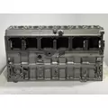 CATERPILLAR 3116 Cylinder Block thumbnail 9