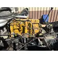 CATERPILLAR 3116 Engine Assembly thumbnail 1