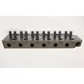 CATERPILLAR 3116 Engine Cylinder Head thumbnail 4