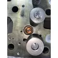 CATERPILLAR 3116 Engine Cylinder Head thumbnail 15