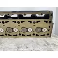 CATERPILLAR 3116 Engine Cylinder Head thumbnail 17