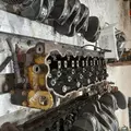 CATERPILLAR 3126B Cylinder Head thumbnail 4