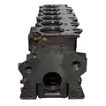 CATERPILLAR 3176 Cylinder Block thumbnail 2