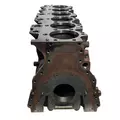 CATERPILLAR 3176 Cylinder Block thumbnail 4