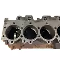 CATERPILLAR 3176 Cylinder Block thumbnail 6