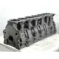 CATERPILLAR 3176 Engine Block thumbnail 1