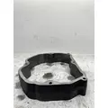 CATERPILLAR 3176 JakeEngine Brake thumbnail 4