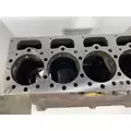 CATERPILLAR 3306B Cylinder Block thumbnail 7