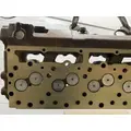 CATERPILLAR 3306DI Cylinder Head thumbnail 10