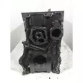 CATERPILLAR 3406B Cylinder Block thumbnail 1