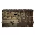 CATERPILLAR 3406B Cylinder Block thumbnail 2
