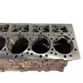 CATERPILLAR 3406B Cylinder Block thumbnail 8
