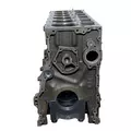 CATERPILLAR 3406B Cylinder Block thumbnail 4