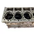 CATERPILLAR 3406B Cylinder Block thumbnail 7