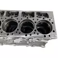 CATERPILLAR 3406B Cylinder Block thumbnail 8