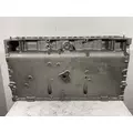 CATERPILLAR 3406E Cylinder Block thumbnail 4