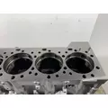 CATERPILLAR 3406E Cylinder Block thumbnail 8