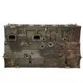 CATERPILLAR 3406E Cylinder Block thumbnail 3