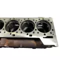 CATERPILLAR 3406E Cylinder Block thumbnail 9