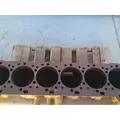 CATERPILLAR 3406E Cylinder Block thumbnail 5