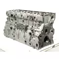 CATERPILLAR C10 Engine Block thumbnail 1