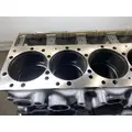 CATERPILLAR C11 Acert Cylinder Block thumbnail 8