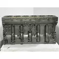 CATERPILLAR C13 Acert Cylinder Block thumbnail 5
