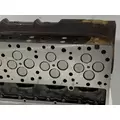 CATERPILLAR C13 Acert Cylinder Head thumbnail 11
