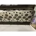 CATERPILLAR C13 Acert Cylinder Head thumbnail 11