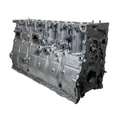 CATERPILLAR C15 Acert Cylinder Block thumbnail 1