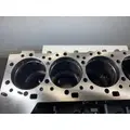 CATERPILLAR C15 Acert Cylinder Block thumbnail 8