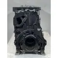 CATERPILLAR C15 Acert Cylinder Block thumbnail 2