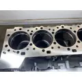 CATERPILLAR C15 Acert Cylinder Block thumbnail 8