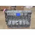 CATERPILLAR C15 Engine Assembly thumbnail 4