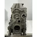 CATERPILLAR C15 Engine Block thumbnail 2