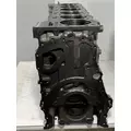 CATERPILLAR C15 Engine Block thumbnail 4