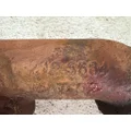 CAT 219-5855 Exhaust Manifold thumbnail 5