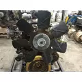 CAT 3116M ENGINE ASSEMBLY thumbnail 7