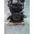 CAT 3116M ENGINE ASSEMBLY thumbnail 4