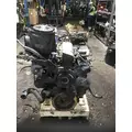 CAT 3116 Engine Assembly thumbnail 2