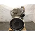 CAT 3116 Engine Assembly thumbnail 4