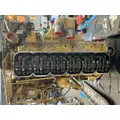 CAT 3116 Engine Assembly thumbnail 8