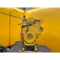 CAT 3116 Engine Assembly thumbnail 9