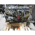 CAT 3116 Engine Assembly thumbnail 3