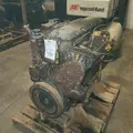 CAT 3116 Engine Assembly thumbnail 4