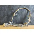CAT 3126B Engine Wiring Harness thumbnail 2