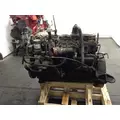 CAT 3126 Engine Assembly thumbnail 4